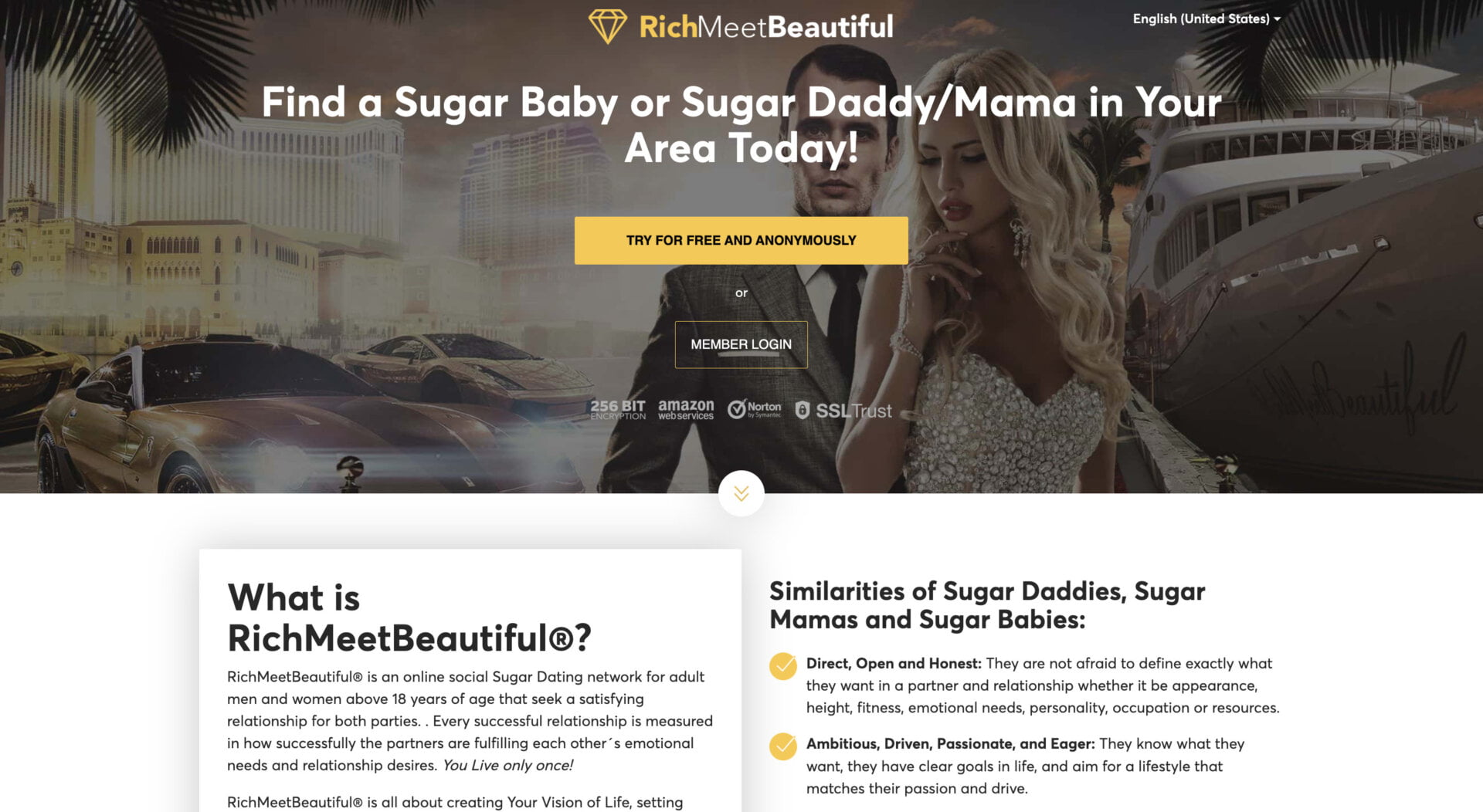 RichMeetBeautiful sugar daddy website